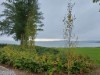 Blick über's Wasser