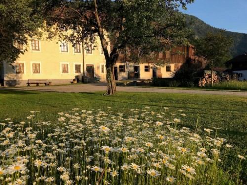 house-gallery