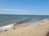 Blick über's Wasser