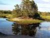 Blick über's Wasser