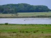 Blick über's Wasser