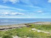 Blick über's Wasser
