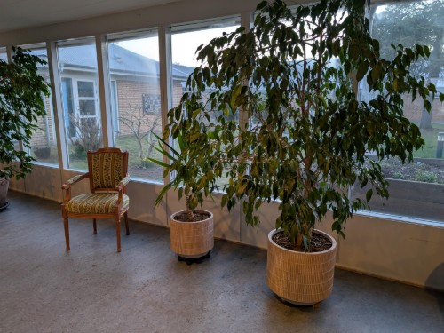 house-gallery
