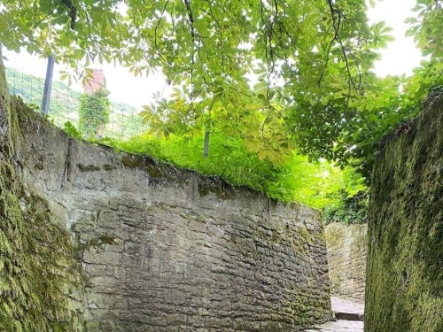 house-gallery