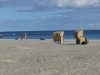 Aussen