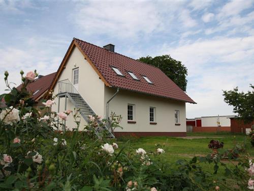 Emne nr.: 521-DMS021102-P