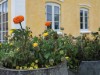 Aussicht