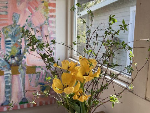 house-gallery