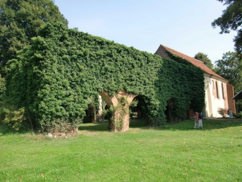 house-gallery