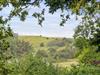 Aussicht