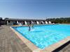 Fælles swimmingpool