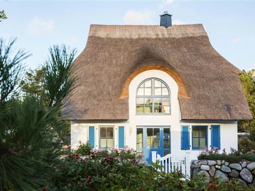 Objekt Nr.: 521-DOS051071-F