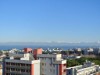 Ude