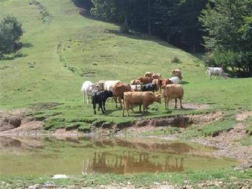 house-gallery