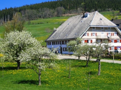 house-gallery