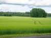 Innen
