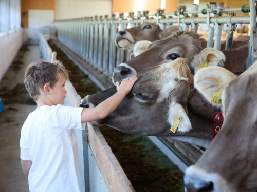 house-gallery