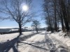 Område