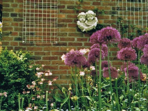 house-gallery