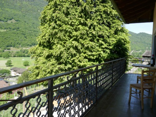 house-gallery