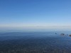 Blick über's Wasser