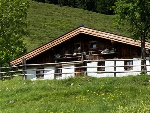 house-gallery