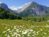 Aussen