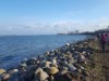 Udsigt over vand