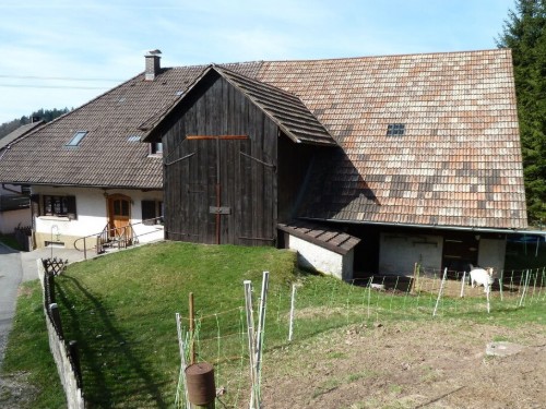 house-gallery