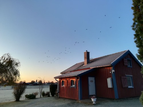 house-gallery