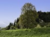 Aussen