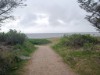 Aktivitet