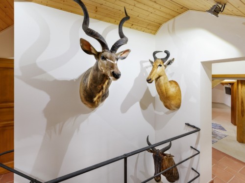 house-gallery