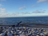 Blick über's Wasser