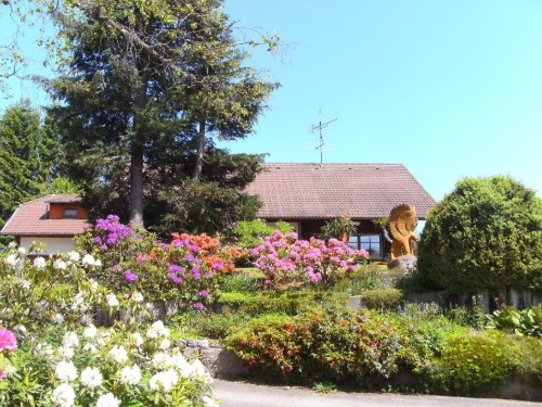 house-gallery