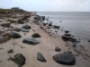 Udsigt over vand