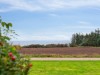Aussicht