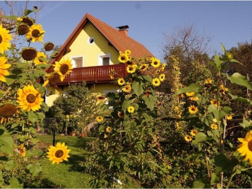 house-gallery