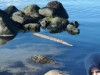 Blick über's Wasser