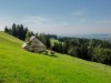 Innen