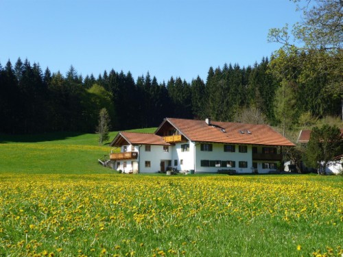 house-gallery