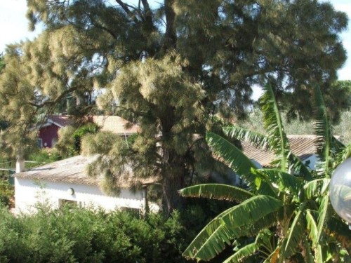house-gallery