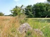 Aussicht