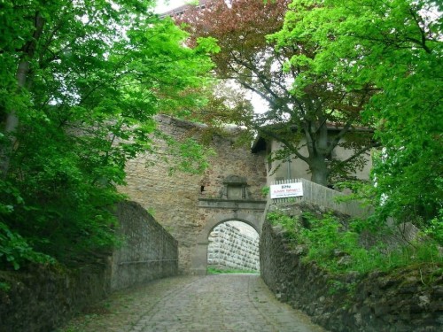 house-gallery