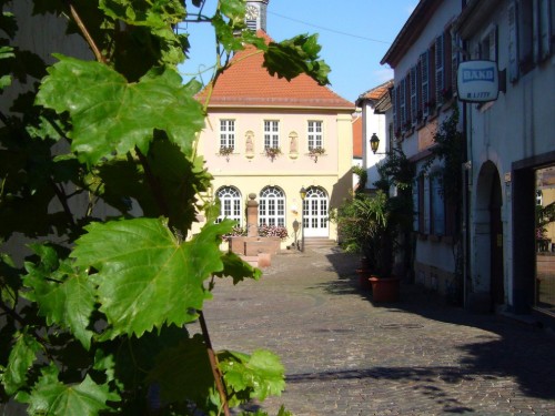 house-gallery
