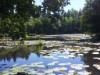 Blick über's Wasser
