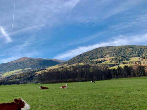 house-gallery