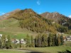 Område