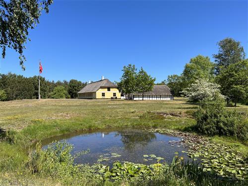 house-gallery