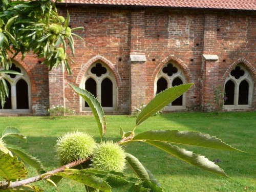 house-gallery